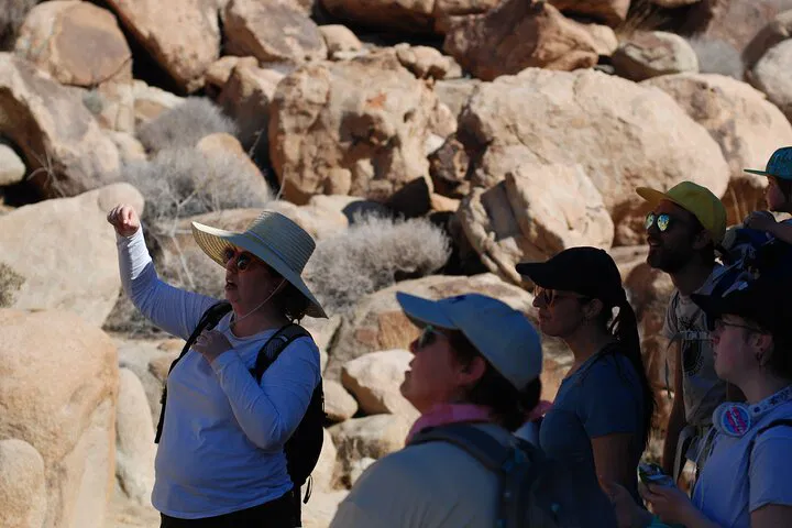 Unveiling Joshua Tree's Secrets: A Naturalist-Led Exploration