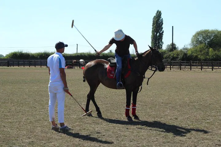 Windsor Polo Experience: Unleash Your Inner Pro!