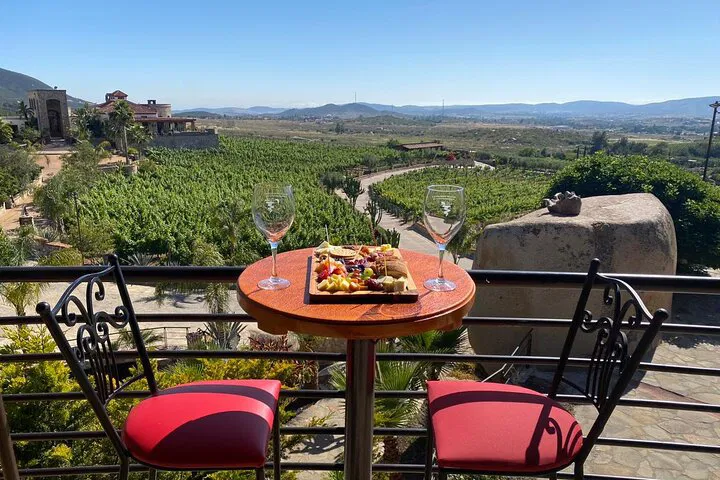 Unforgettable Guadalupe Valley Wine Tour: Intimate Vineyards & Exclusive Tastings