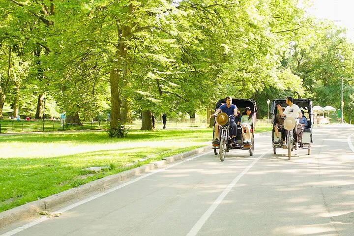 Central Park Pedicab Tour: See NYC's Best Private!