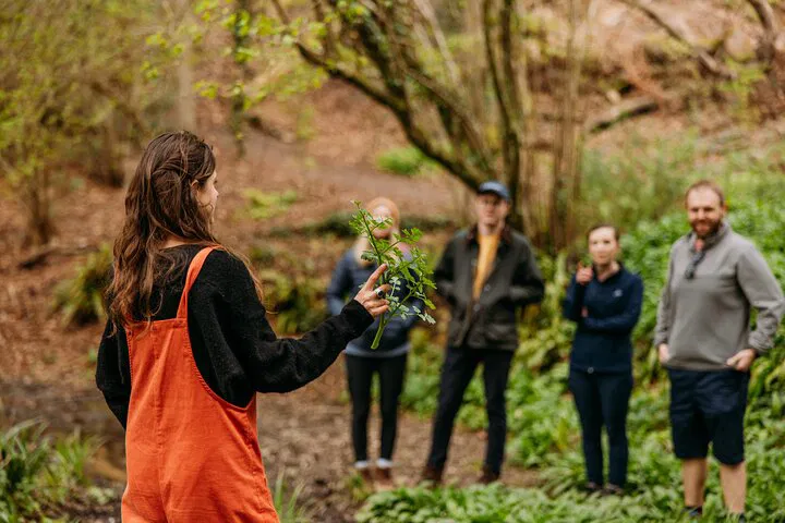 Llangollen Foraging Walk: Discover Nature's Secrets
