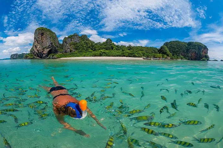 Phi Phi Islands: A Speedboat Adventure to Hidden Beaches & Underwater Wonders