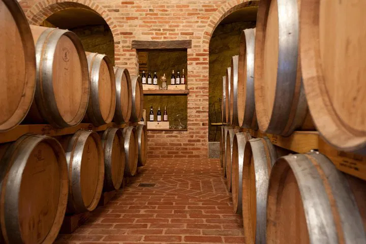 Unveiling Barolo's Essence: A Terroir Tasting Journey