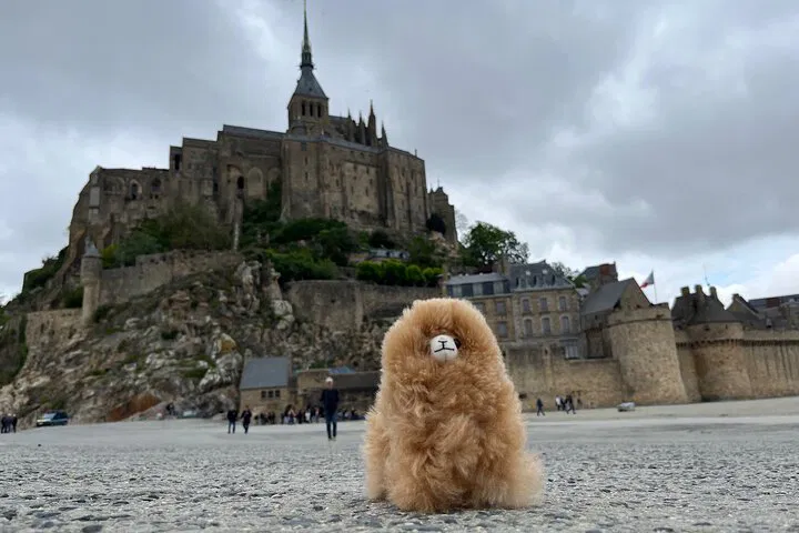 Unforgettable Private Tour: Mont Saint Michel & D-Day Sites from Paris