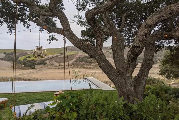 Unforgettable Santa Ynez Valley Wine Tour: Luxury & Scenic Delights