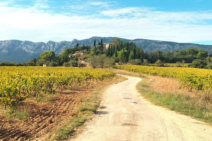 Unveiling Provence: A Private Wine & Countryside Escape