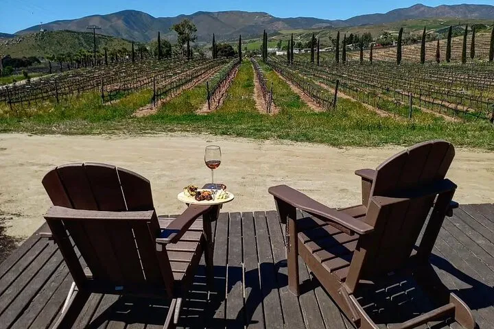 Valle de Guadalupe Private Wine Tour from Border