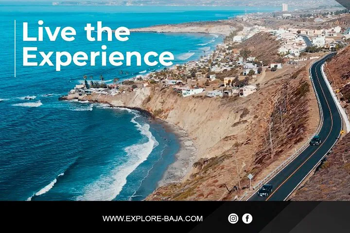Exclusive Baja Wine Adventure: Private Concierge & Custom Tours!