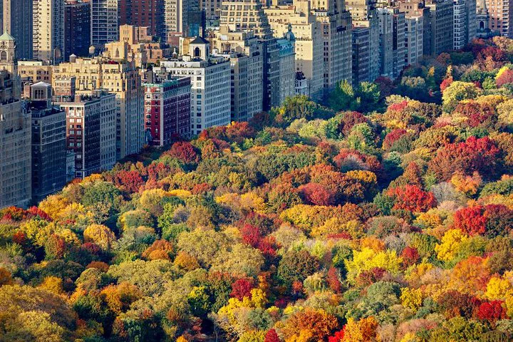 Soar Above: Hudson Valley's Fall Foliage Private Helicopter Tour