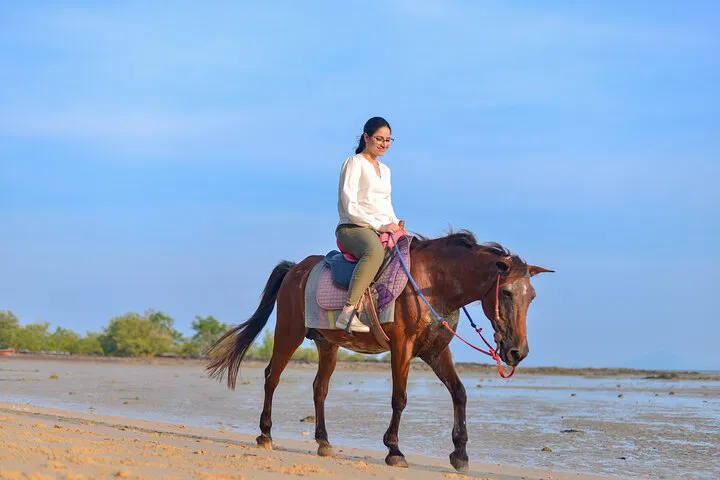 Krabi Beach Horse Riding: Coastal Adventure Awaits!