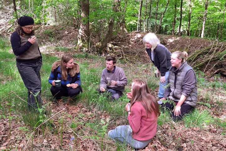 Somerset Forest Bathing: Nature Therapy Experience