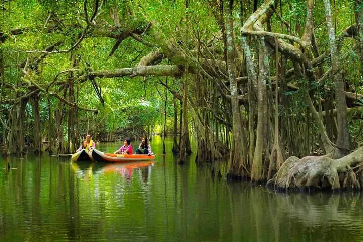 Unveiling Khao Lak's Hidden Gems: Little Amazon & Sri Phang Nga Waterfall Adventure