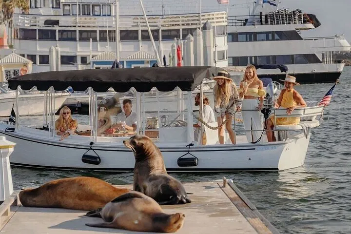 Santa Monica's Sea Lion Spectacle: A Luxurious E-Boat Escape