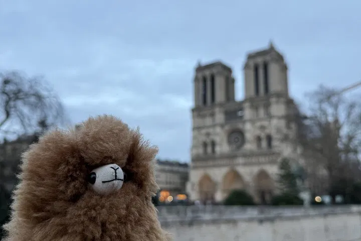 Unveiling Paris: A Private Notre-Dame & Historic Center Walking Tour