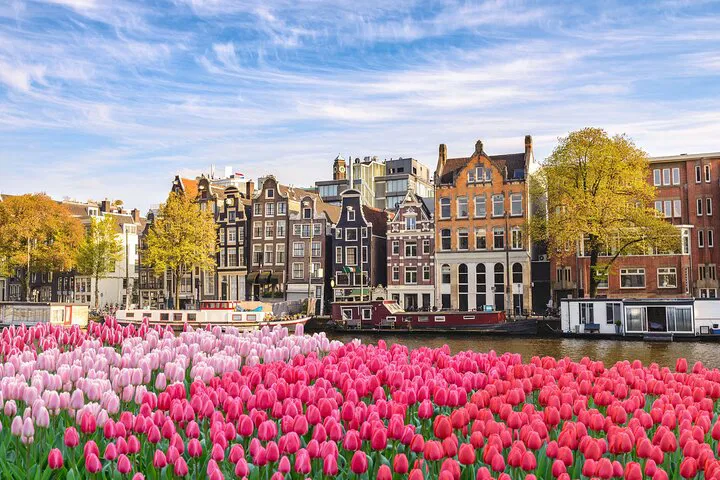 Stress-Free Paris to Amsterdam Private Transfer: Door-to-Door Comfort