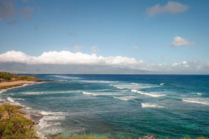 Maui's Road to Hana: Open-Air Jeep Private Tour