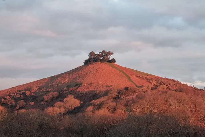 Dorset's West: Full-Day Fossil Hunting & Coastal Tour
