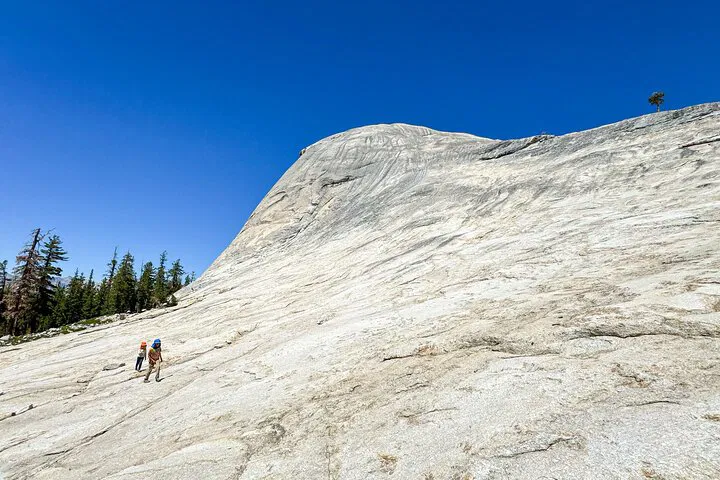 Discover Yosemite's Hidden Gems: A Personalized Family Adventure