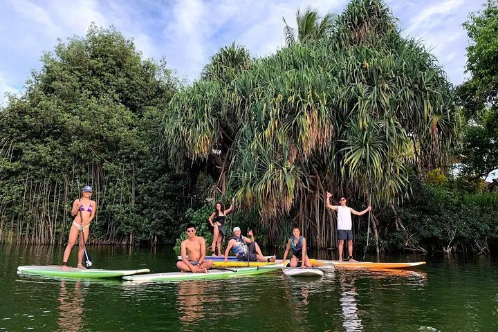 Paddle with Sea Turtles: Anahulu Stream Stand-Up Adventure!