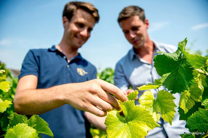 Exclusive Champagne Tour: Unveiling Family Growers & Culinary Delights