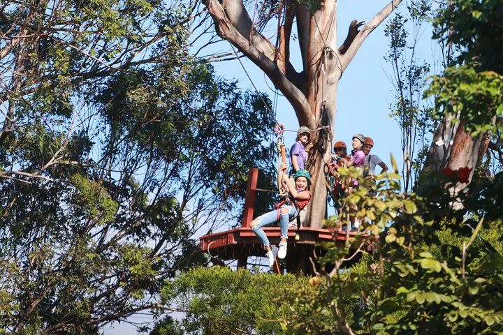 Soar Above Maui: Zipline Adventure for Cruise Passengers!