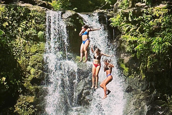 Luxury Road to Hana Private Tour: VIP Maui Adventure!