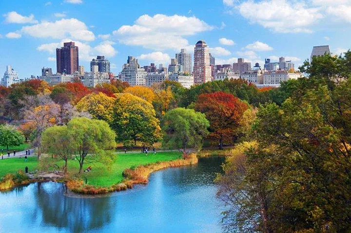 NYC Unveiled: An Immersive Private Group Tour Experience