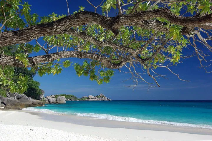 Angthong Marine Park: Unforgettable Overnight Adventure