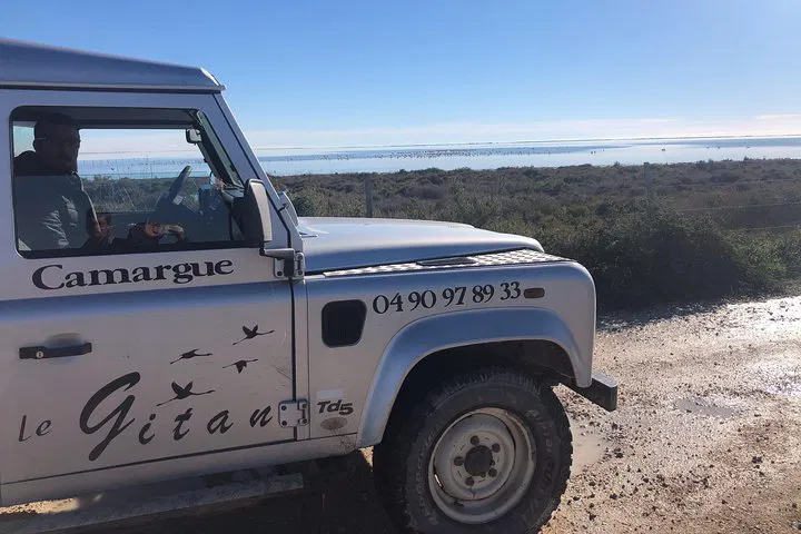 Camargue Safari: Unleash Your Inner Explorer in Provence's Wild Heart
