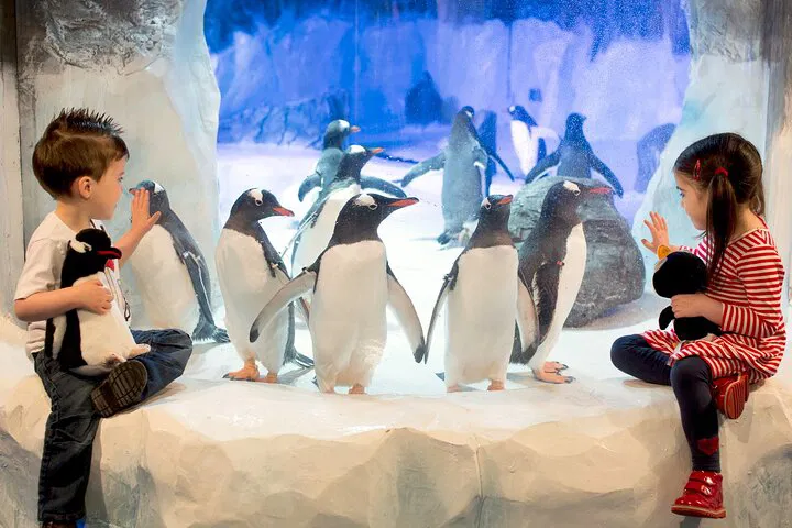 Birmingham SEA LIFE: Skip-the-Line Ticket