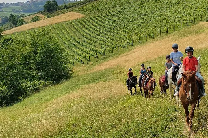 Langhe Vineyard Horseback Ride: Piedmont Adventure