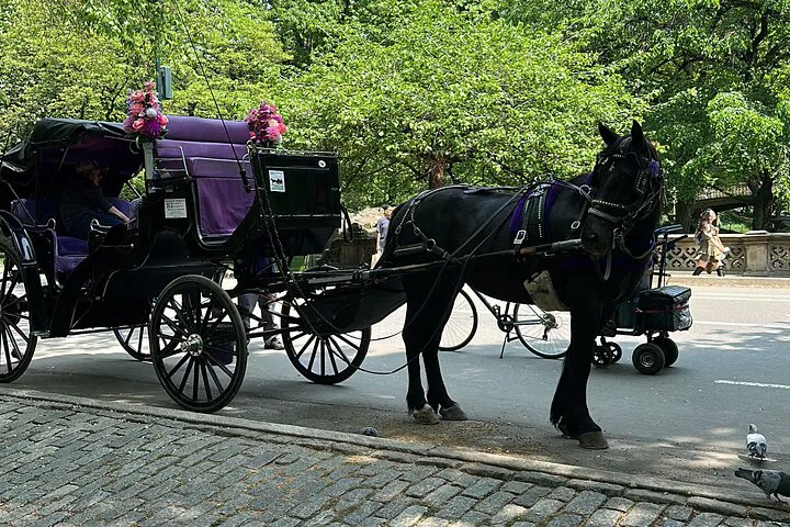 Timeless Charm: A Magical Horse Carriage Ride Through Central Park's History