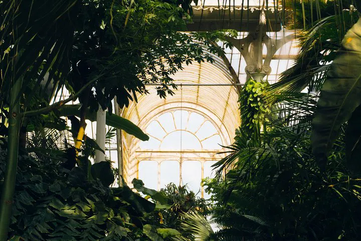 Kew Gardens Audio Tour: Explore London's Green Escape