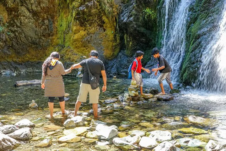 Unveiling Shasta's Magic: A Half-Day Adventure to Waterfalls and Castle Lake
