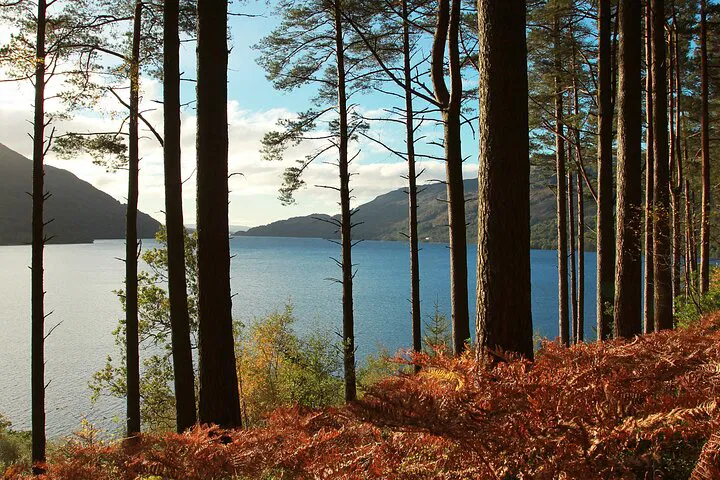 Unforgettable Scottish Adventure: Lochs, Whisky & History from Edinburgh!