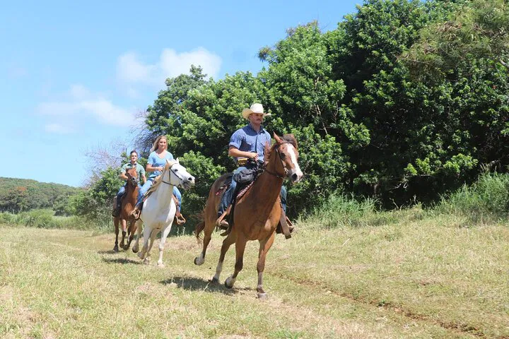 Oahu's North Shore: Thrilling Private Advanced Trail Ride