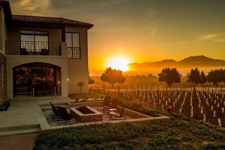 Uncork Mexico: Premium Wine & Carriage Tour in Valle de Guadalupe