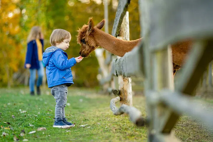 Berlin Zoo: Private Transport & Skip-the-Line Tickets