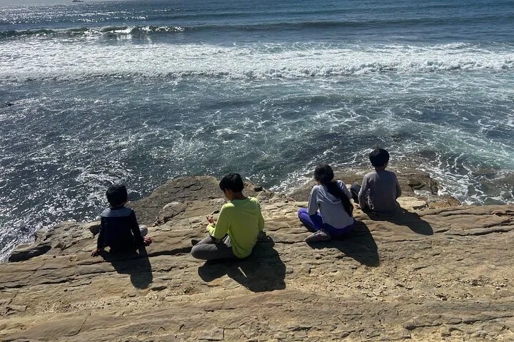 Point Loma Tide Pools Adventure: Explore San Diego's Coast!