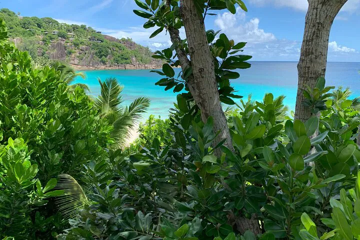 Discover Mahé's Hidden Gems: An Immersive Island Tour Experience