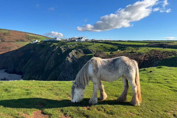 Gower Peninsula Private Day Tour: Cliffs, Beaches & Ancient Wonders!