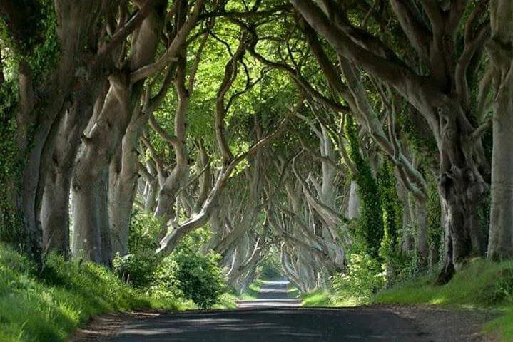 Unveil Northern Ireland's Gems: A 'Game of Thrones' Private Tour