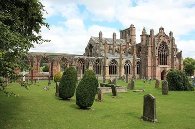 Image 2