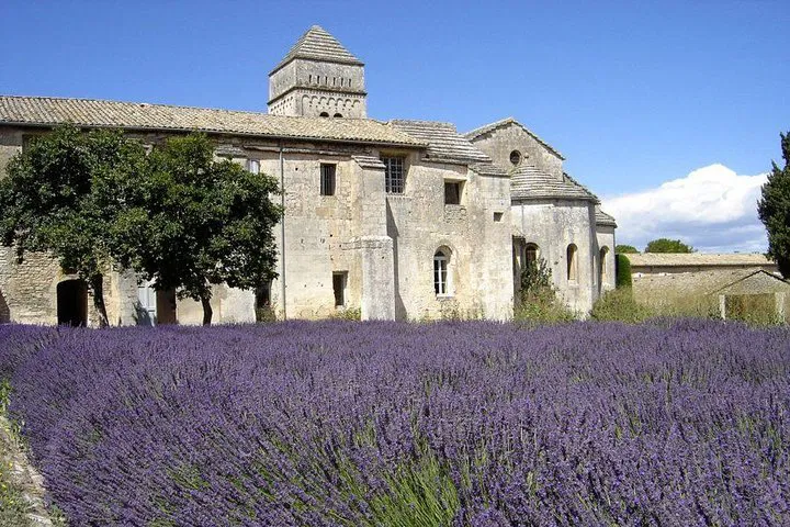 Provence's Masterpieces: A Private Van Gogh & Medieval Castle Tour