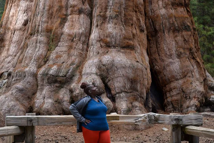 Majestic Giants: Unforgettable 2-Day Sequoia & Kings Canyon Private Tour from LA