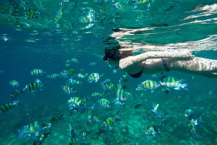 Unveiling Paradise: Deluxe Phi Phi Island Adventure from Phuket