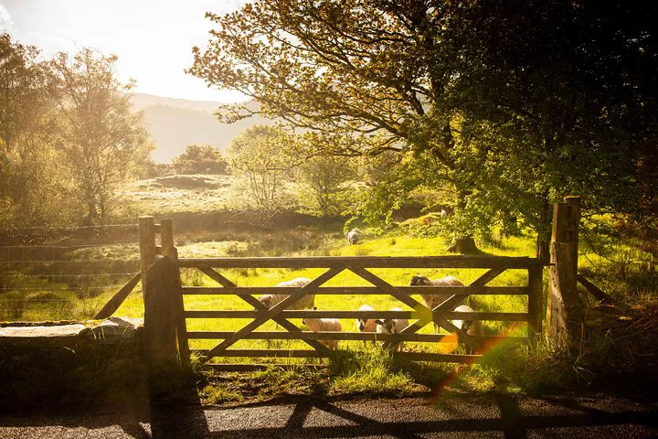 Unveiling Northern England: 5-Day Edinburgh Adventure to York, Lake District & Hadrian's Wall