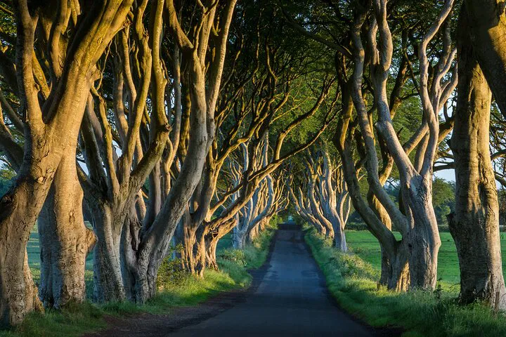 Unveil Northern Ireland's Magic: A Dublin Chauffeur Adventure