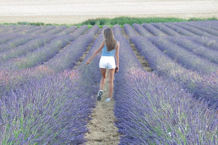 Provence Road Trip: Lavender, Wine & Scenic Waters!