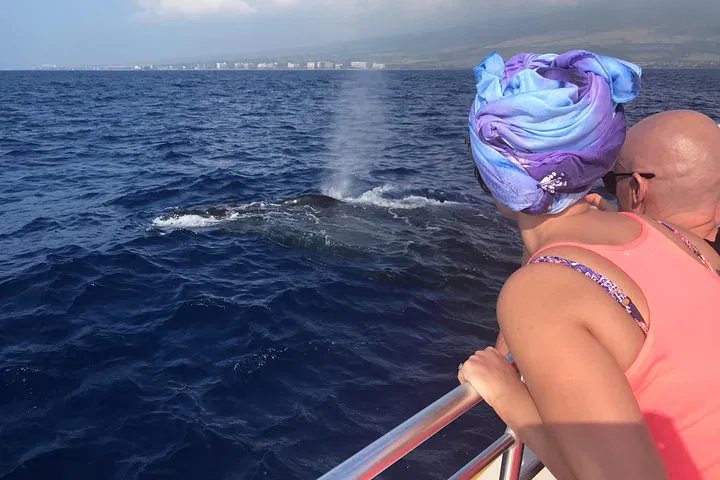 Whale Watching Adventure: Small Group, Big Thrills!